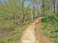 Buckquarter Creek Trail in Eno River State Park